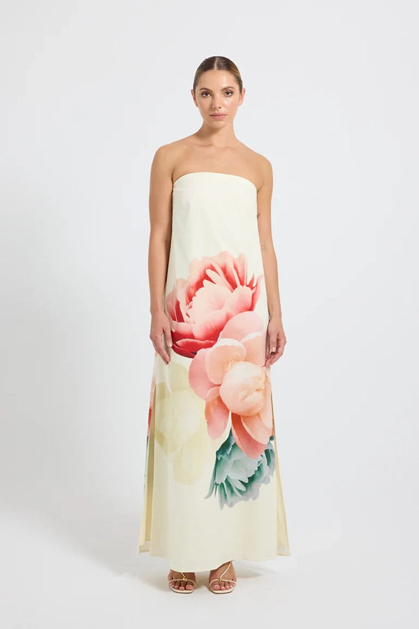 Nostalgia Strapless Maxi