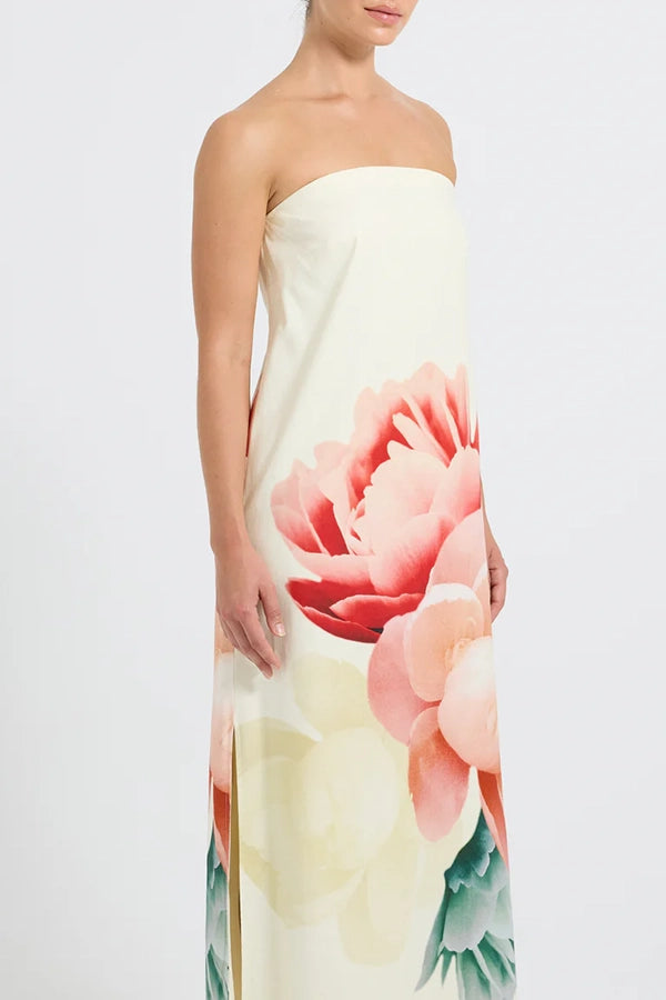 Nostalgia Strapless Maxi